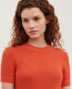 Maille|Comptoir des Cotonniers Pull A Manches Courtes En Coton 0220 Apricot Orange